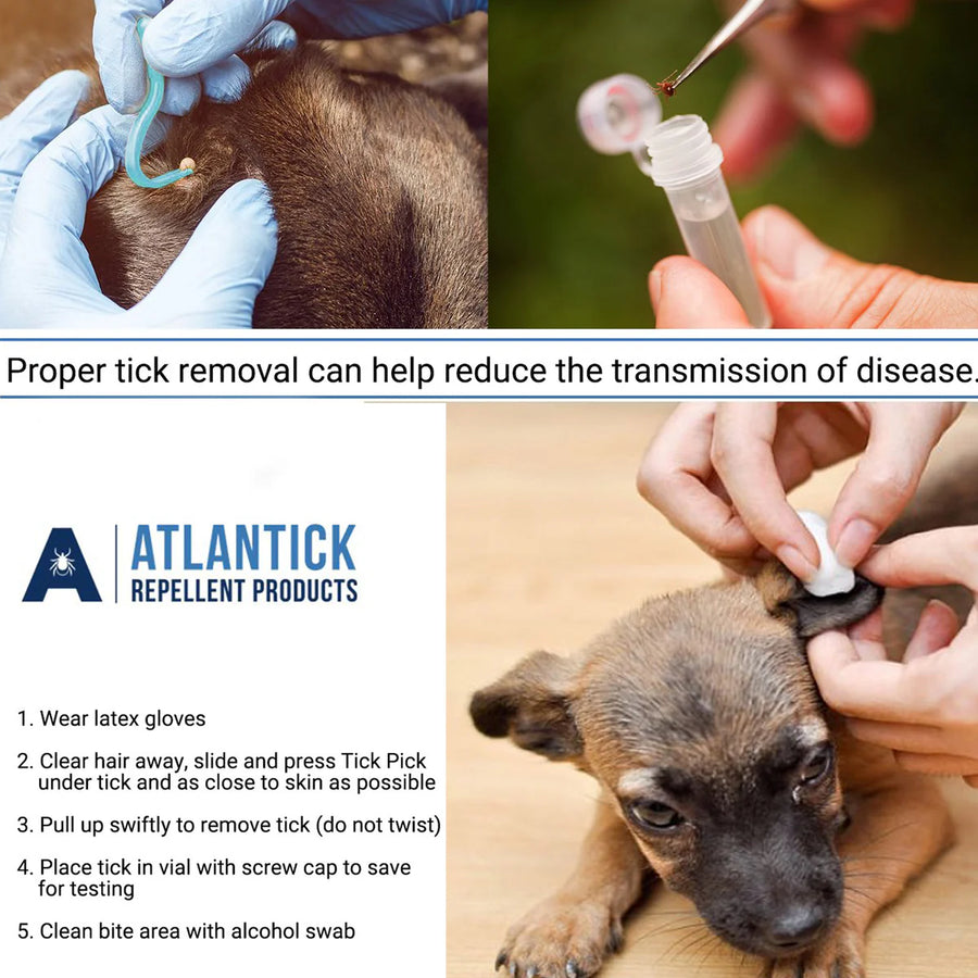 Tick Pick for Pets & Humans