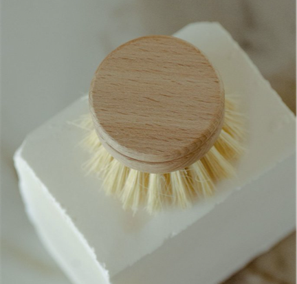Dish Brush with replaceable head